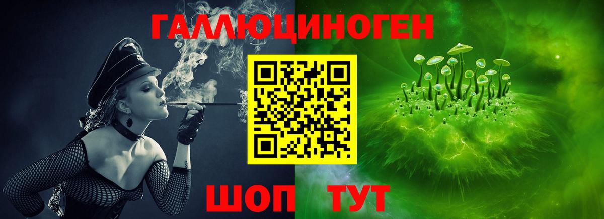 Чистополь  Галлюциногенные грибы Psilocybine cubensis  Вход с VPN 